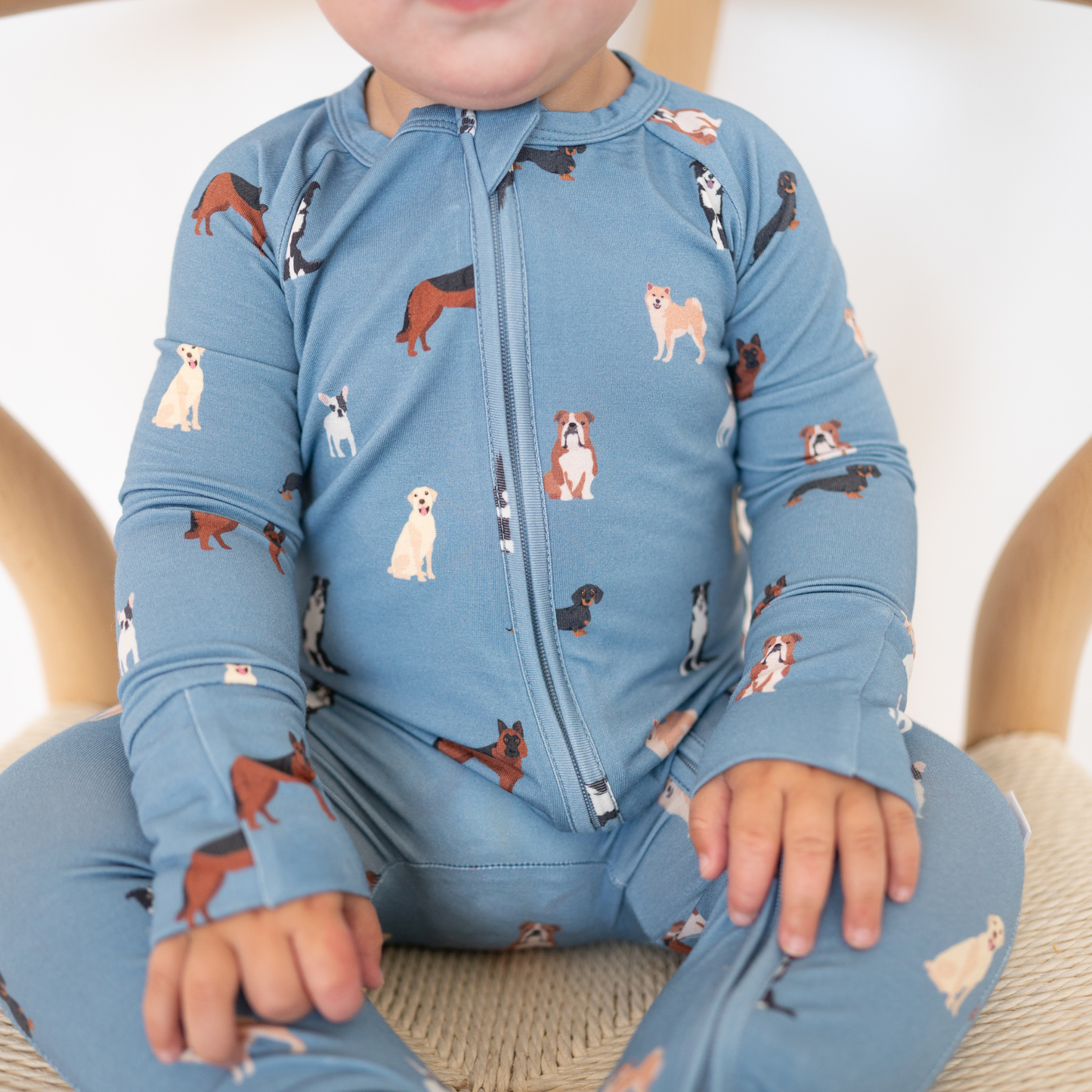 Bamboo 2-Way Zip Romper | Blue Dog