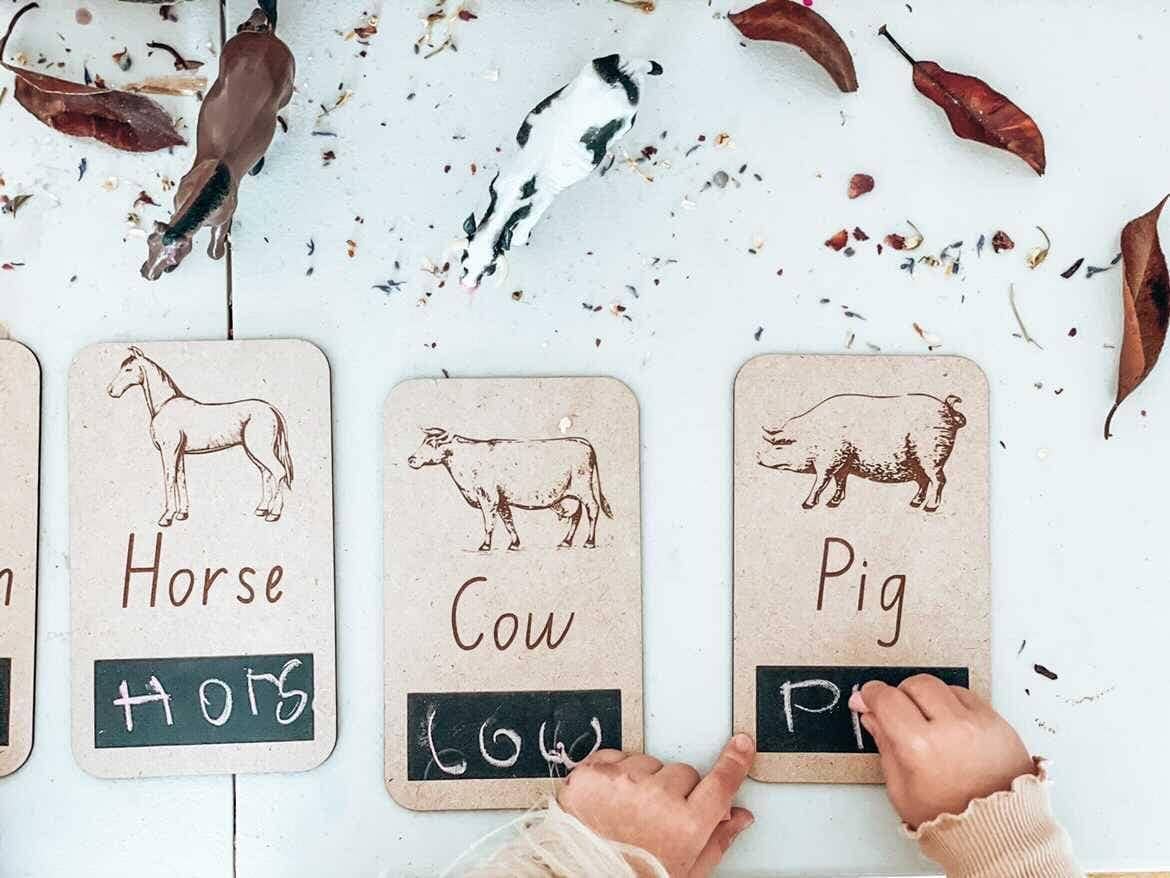 Farm Animal Flash Cards