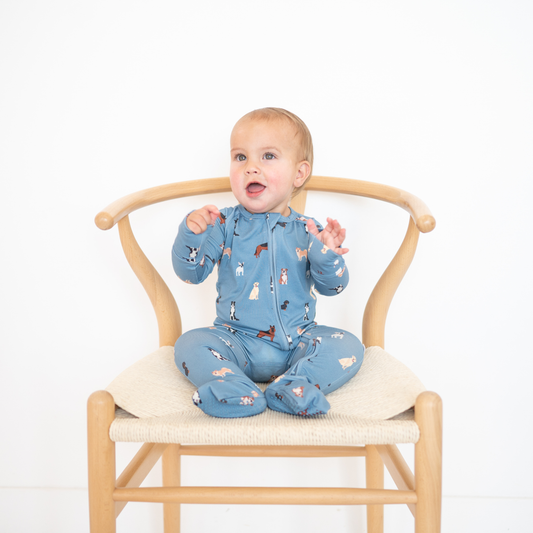 Bamboo 2-Way Zip Romper | Blue Dog