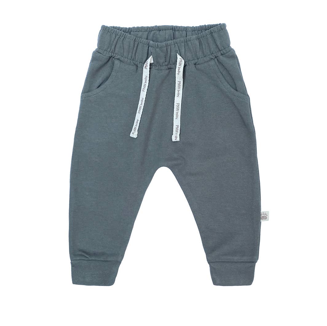 PNW Baby Jogger- Slate